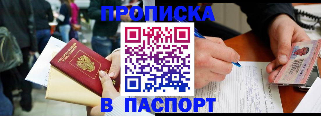 прописка в Сланцах